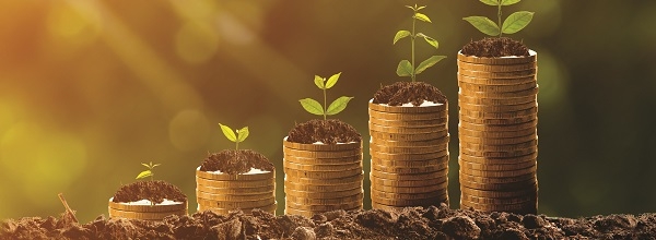 profitability management
