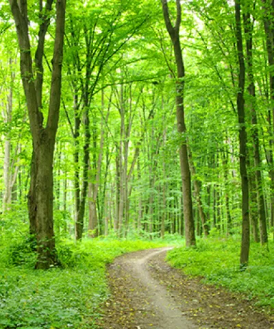 sustainable logistics