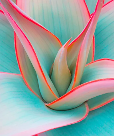 environmental growth