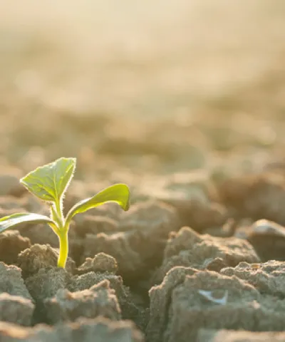 Einlagenvolumen profitabel halten und steigern