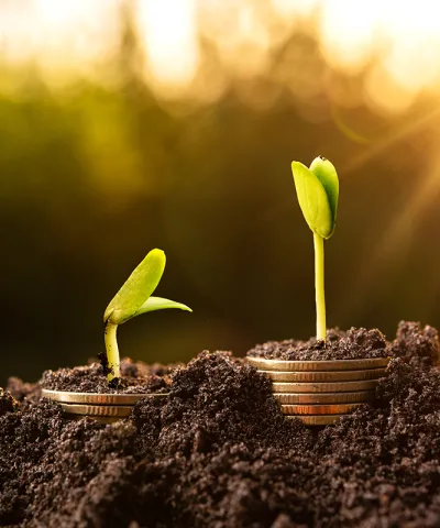 sustainability in B2B