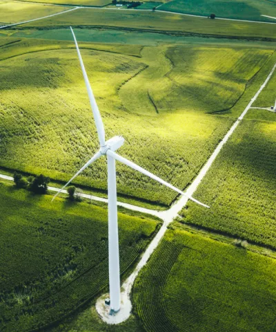 green energy field windturbine