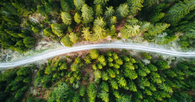 sustainability in logistics