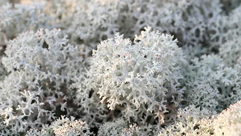 sustainability transformation