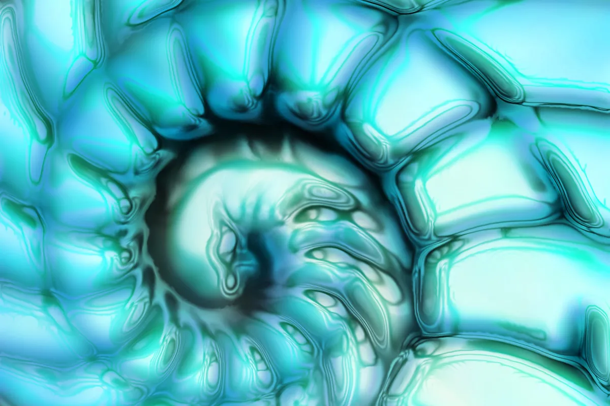 sustainability in consumer goods