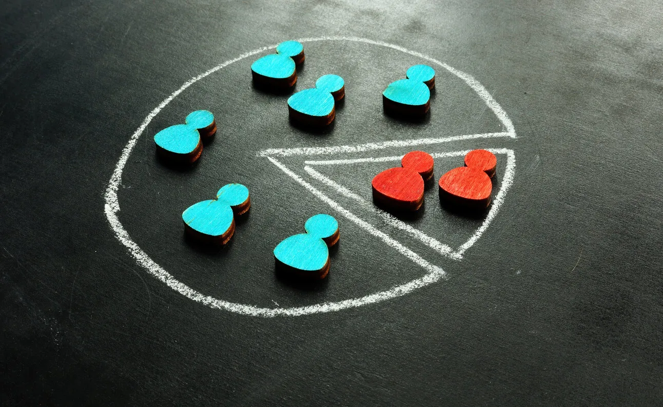 psychographic segmentation